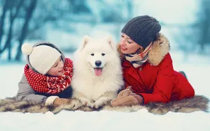 冬季雪地上嬉戏玩耍图片_3