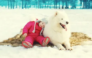 冬季雪地上嬉戏玩耍图片_13