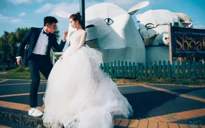 吴奇隆刘诗诗新西兰婚纱照_4