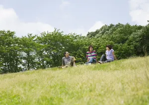 大学校园生活壁纸_16