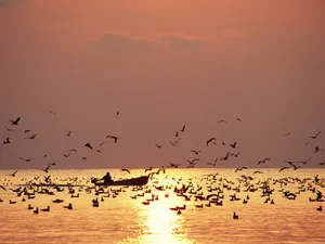 人与自然 第一辑_8