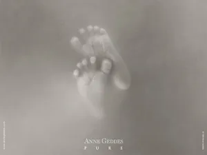 Anne宝贝 第七辑_2
