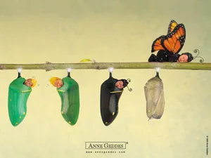 Anne宝贝 第七辑_12