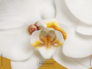 Anne宝贝 第六辑_3