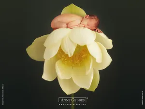 Anne宝贝 第六辑_6