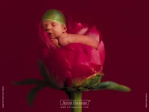 Anne宝贝 第六辑_12