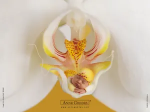 Anne宝贝 第六辑_17