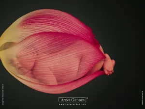 Anne宝贝 第五辑