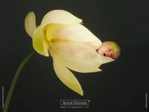 Anne宝贝 第五辑_8