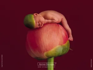 Anne宝贝 第五辑_11
