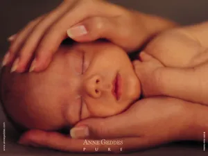 Anne宝贝 第四辑