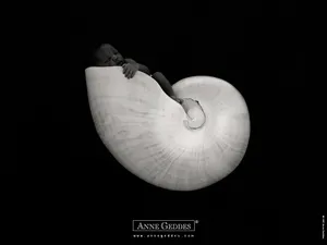 Anne宝贝 第四辑_9