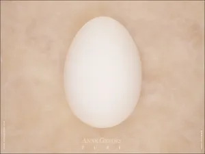 Anne宝贝 第二辑_15