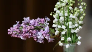 花瓶鲜花插花图片大全_11