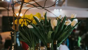 高清花瓶里的鲜花图片_2