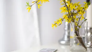 高清花瓶里的鲜花图片_11