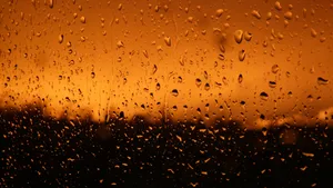 玻璃上的雨滴图片_9
