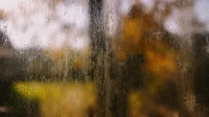 玻璃上的雨滴图片_13