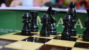 国际象棋图片大全_2