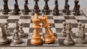 国际象棋图片大全_9