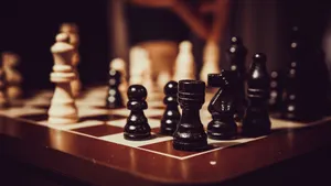 国际象棋图片大全_13