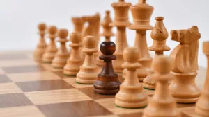 国际象棋图片大全_14