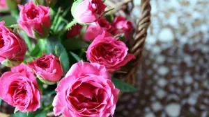 手提花篮图片大全_2