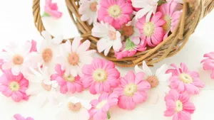 手提花篮图片大全_6