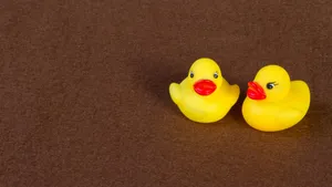小黄鸭图片_5