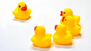 小黄鸭图片_9