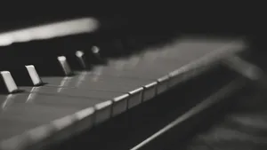 钢琴琴键图片_9