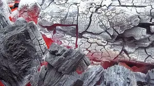 取暖燃烧的木炭图片_3