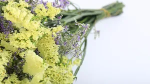紫色干花花束图片_2