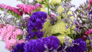 紫色干花花束图片_6