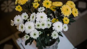 精美室内花瓶鲜花图片_4