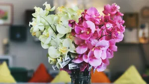 精美室内花瓶鲜花图片_11
