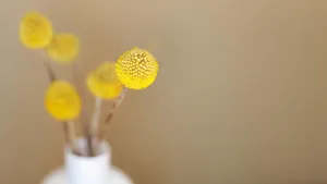 精美室内花瓶鲜花图片_12