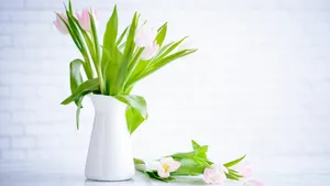 精美室内花瓶鲜花图片_14