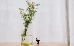室内装饰花束花瓶图片_3