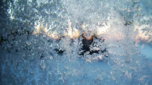 晶莹剔透的雪花图片_1