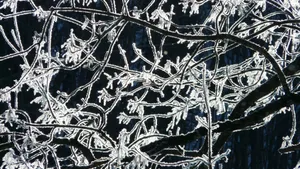 晶莹剔透的雪花图片_3