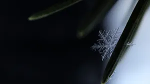 晶莹剔透的雪花图片_4