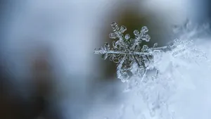 晶莹剔透的雪花图片_7