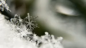 晶莹剔透的雪花图片_8
