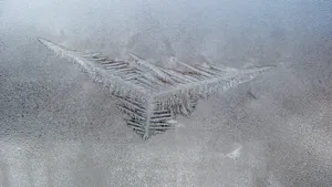 晶莹剔透的雪花图片_11