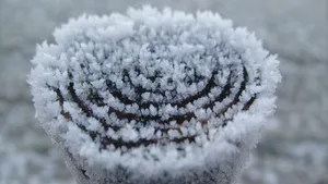 晶莹剔透的雪花图片_12
