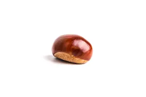 坚果栗子图片_7