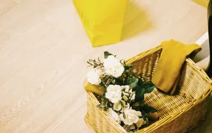 清新风静物图片壁纸_8