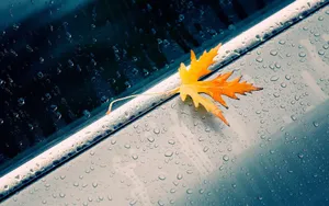 唯美雨中画面图片_1