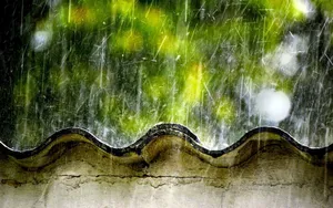 唯美雨中画面图片_2